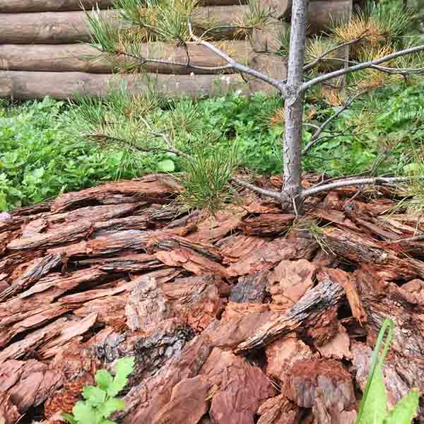 Кора сосны фракция 5-10см Крупная 60л