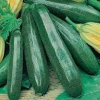 Седек Кабачок цуккини Ажур Вороной F1 1г 