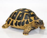 Фигура Черепашка 17*11,7*7,7см 142115V 24шт/уп