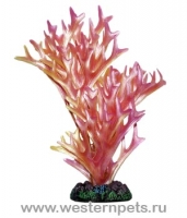 Пластиковое растение в блистере 20см/2047