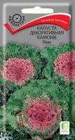Поиск Капуста декоративная Камоме Пинк 10шт 