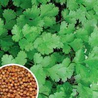 Сембат Пряность Кориандр Бородинский 20г XXXL