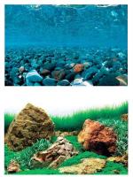 Фон для аквариума Горная река/Зеленое море 30*62см/BACKGROUND 019/Салекс