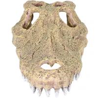 Грот AQUA DELLA Череп Аллигатора бежевый 28.5x14.5x8см (Бельгия) 234/443484