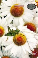 Каприс Нивяник Ромашка Любит-не-любит 20*0,5