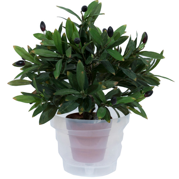 Кашпо для орхидей Акцент 1,6л прозрачный