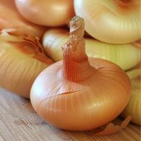 Лук-севок Дедуля 21-24 10кг+-10%