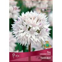 Лук узколистный Грейсфул