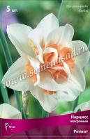 Нарцисс Махровый Реплит (белый с ярко-красной коронкой, 5шт, 12/14) 756178