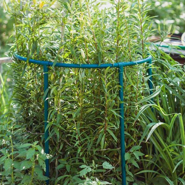 Опора д/ягод.кустарн,цветов "Цветочная гармония" 40*38см/20шт/КА