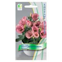 Поиск Эустома крупноцветковая Сюита Розовая 5шт