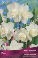 Нарцисс Махровый Вайт Марвел (белый, многоцветковый, ароматный, 5шт, 12/14) 756144