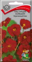 Поиск Настурция Коричневый блик большая 1г