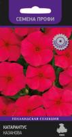 Поиск Катарантус Казанова 10шт