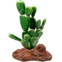Растение Опунция Laguna 95*60*140мм/84044004/Триол