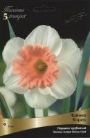 Нарцисс Трубчатый Чайниз Корал (белый с коралловой гофрированной коронкой, 5шт, 12/14) 756253