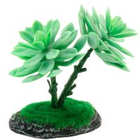 Растение Граптоверия REP15010 150мм Laguna/84045030/Триол