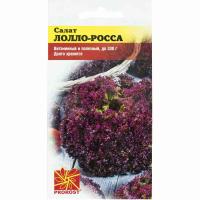 PROROST Салат Лолло росса 0,5г