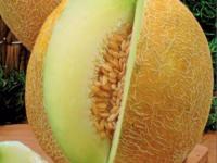 Гавриш Фермерская Дыня Южанка 25 гр