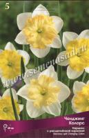 Нарцисс с Расщеплённой коронкой Ченджинг Колорс (5шт, 12/14) 756229