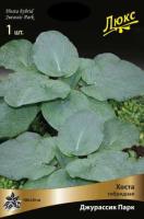 Хоста гибридная Джурассик Парк (I) 1шт