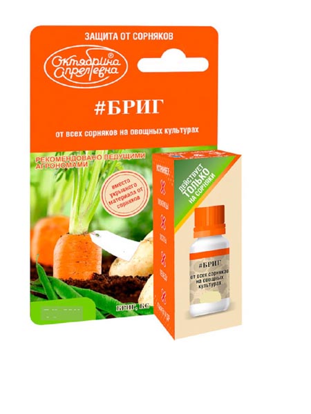 Гербицид Бриг, КС 100мл (картофель,морковь,фасоль) 19шт ЩАХ