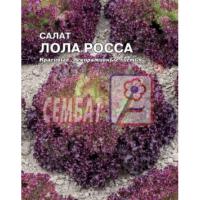 Сембат XXXL Салат Лолло Росса 5г 