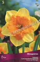 Нарцисс с Расщеплённой коронкой Мондрагон (5шт, 12/14) 756212