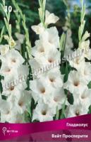 Гладиолус Крупноцветковый Вайт Просперти (10/12) 10 шт