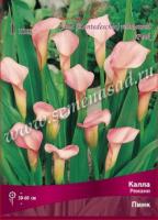 Калла Ремани Пинк (14/16) 1шт 