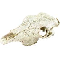 Грот Череп бизона Nomoy Pet 21х7,5см/NMP-NS-74/АЛ