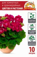 Грунт Царица Цветов д/комнатных цветов 10л 5шт