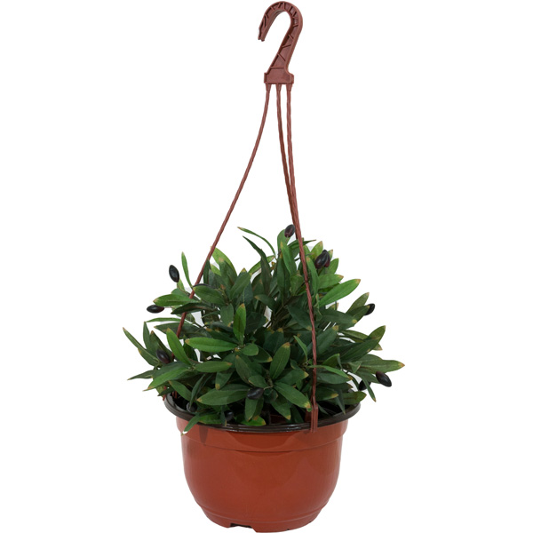 Подвесное №21МТЕ 3,7л с переливом  терракот 22*16см/3500шт/РС