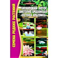 Редкие растения Лотос Гигантский Виктория Амазонская 2 шт