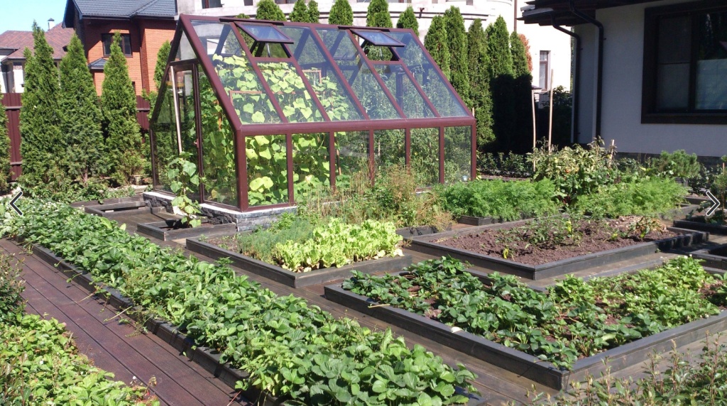 Огород весной.  Что делаем в первую очередь?