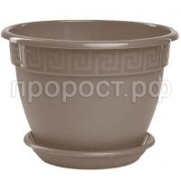 7f05f4d2-5ec4-11ea-8de2-0c9d92cc5263_313af574-89dc-11ea-8de5-0c9d92cc5263-800x800