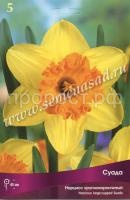 Нарцисс Суада Нарцисс Суада