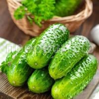 Огурец чижик