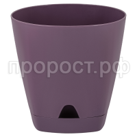 амстердам мор сл амстердам мор сл