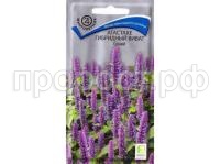 Агастахе Виват Синий 10шт