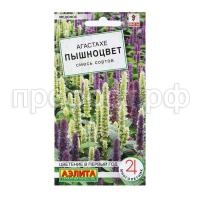 агастахе пышноцвет агастахе пышноцвет