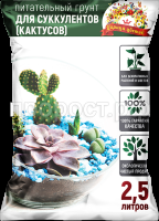 25л-суккуленты 25л-суккуленты