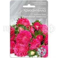 Астра Хризантелла Сбежавшая невеста 30шт Биотехника Астра Хризантелла Сбежавшая невеста 30шт Биотехника