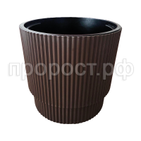 Жасмин 40шоколад