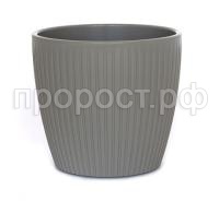 Эви Серый БФ