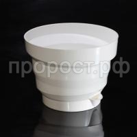 Акцент белый