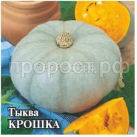 Рисунок21 Рисунок21