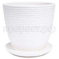 ХАЛВА белый крокус