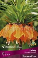 ryabchik_impera_garlan_star_kaper