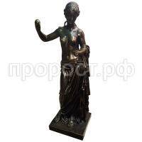 венера бр венера бр